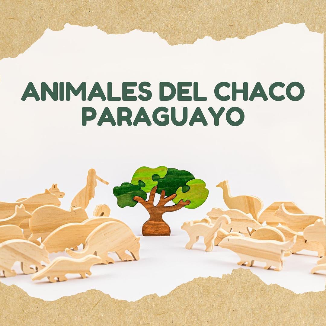 SET DE ANIMALES DEL CHACO PARAGUAYO 23 PIEZAS - KT